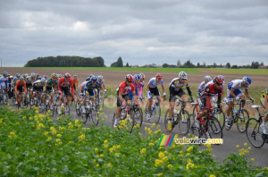 The peloton (7) (575x)