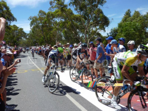 Alejandro Valverde (Movistar Team) sprints to victory (588x)