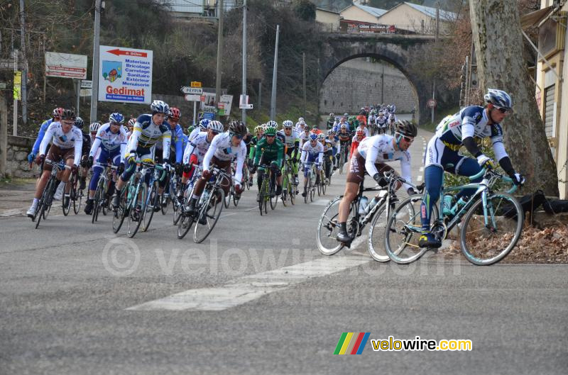 Het peloton