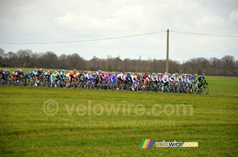 The peloton