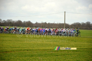 The peloton (321x)