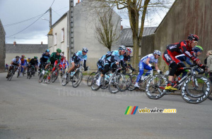 The peloton (3) (419x)