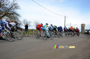 The yellow jersey peloton (416x)