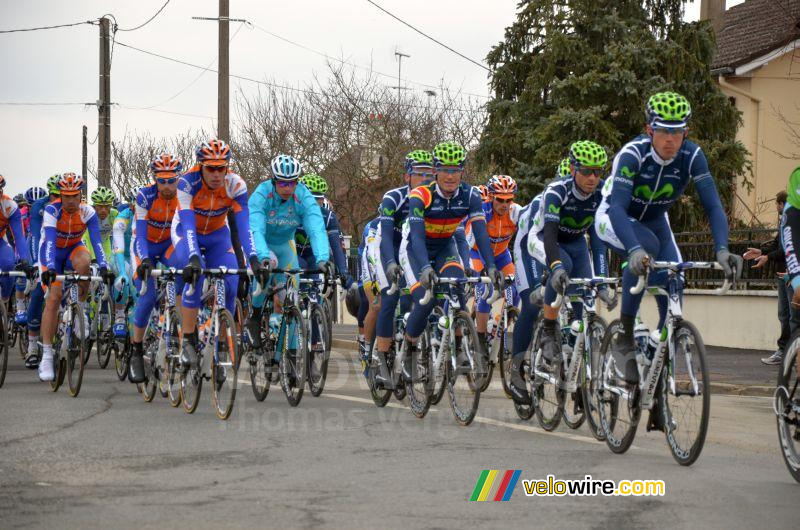 Jose Joaquin Rojas (Team Movistar) in the peloton