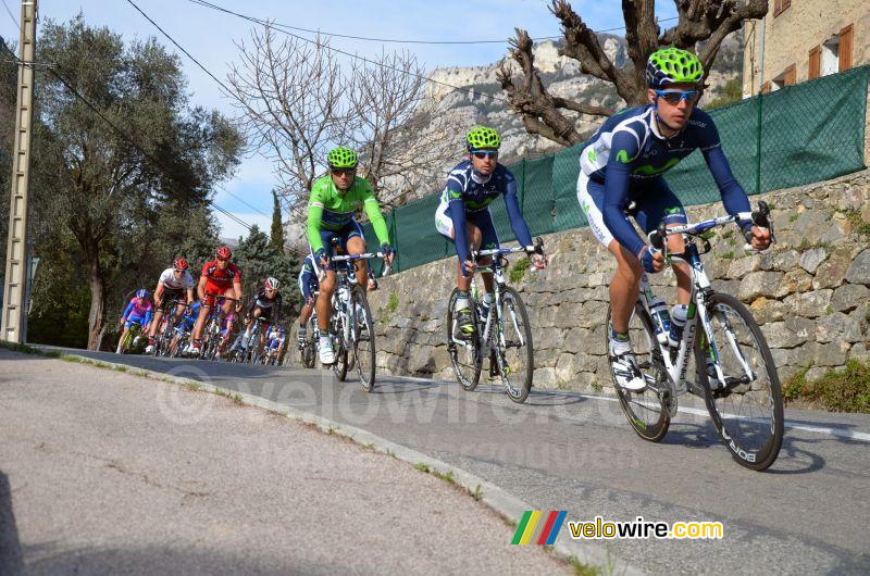 Alejandro Valverde (Movistar Team)