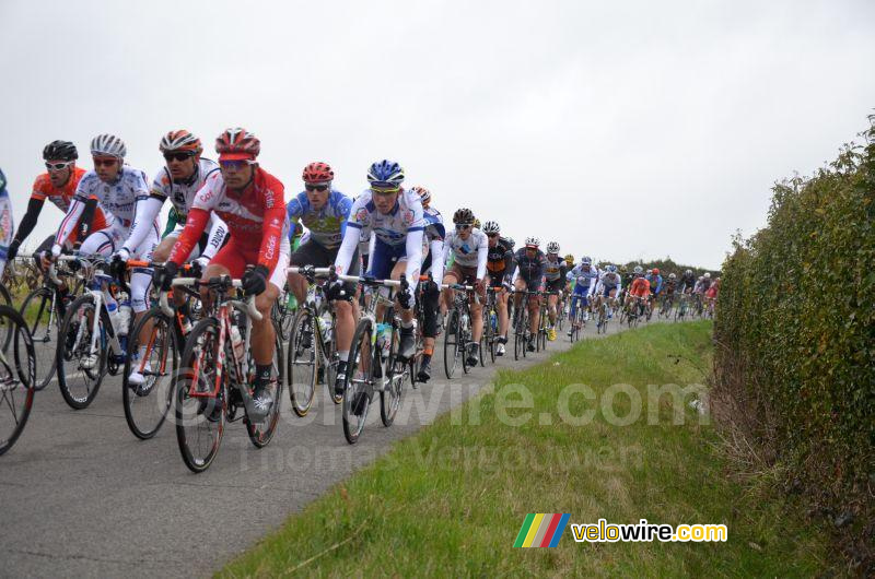 Het peloton (ronde 2)