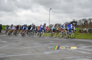 The peloton (707x)