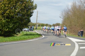 The back of the peloton (412x)