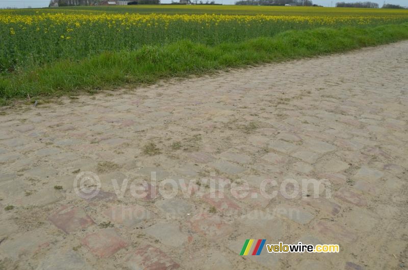 The cobbles ready to receive the riders