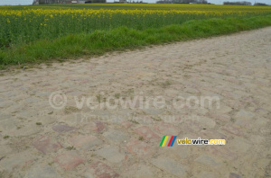 Les pavés attendent les coureurs (495x)