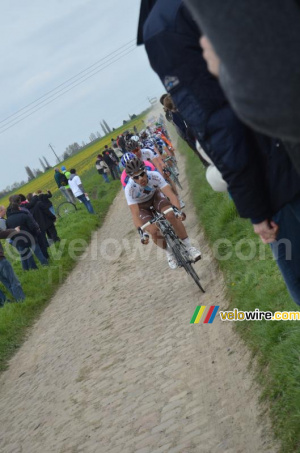 Le peloton sort de la poussière (391x)