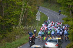 The peloton (614x)