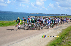 The peloton along the coastline (1715x)