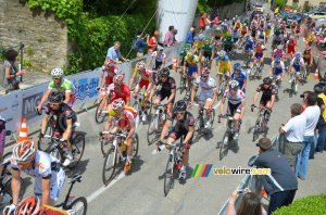 Le peloton au départ (307x)