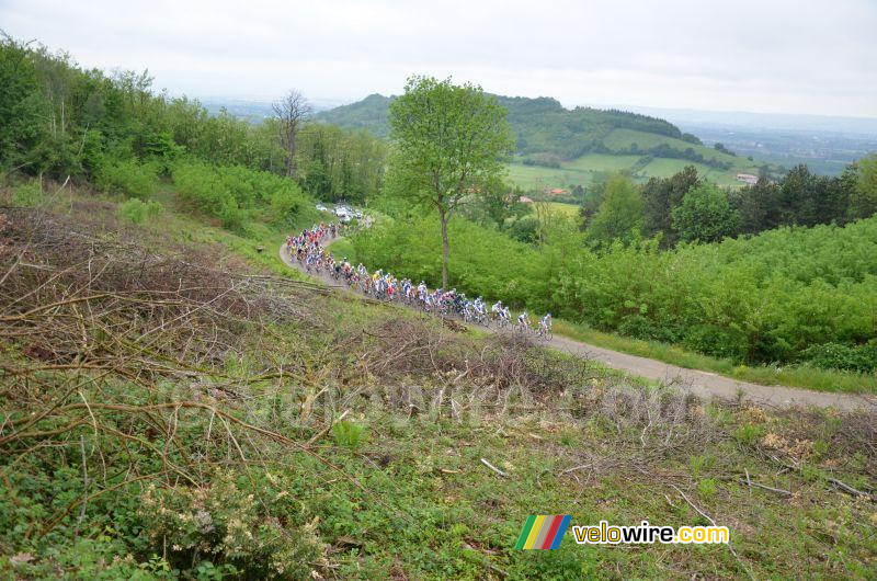 Het peloton op de Cte de Moras-en-Valloire