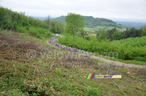 The peloton on the Côte de Moras-en-Valloire (261x)