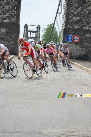 Le peloton passe un pont (2) (264x)