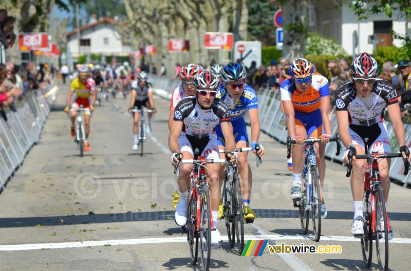 Het peloton op de 