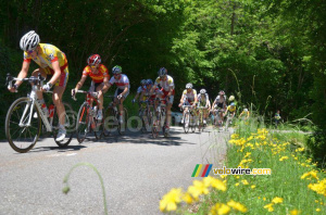 The peloton (408x)