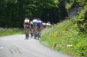 And the peloton goes off (449x)