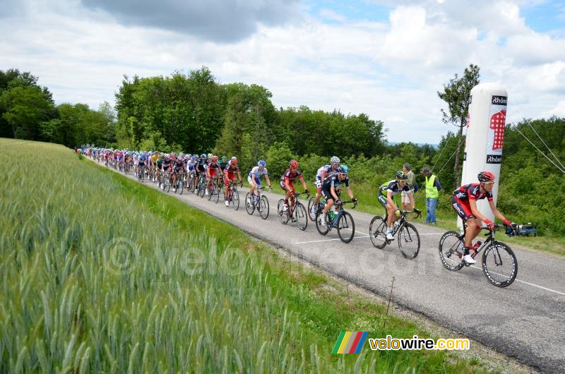 Het peloton bovenop de Côte de Chambaran