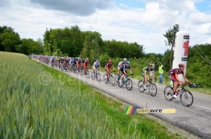 Le peloton au sommet de la Côte de Chambaran (269x)