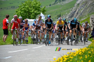 Le peloton sur le Col de la Colombière (583x)