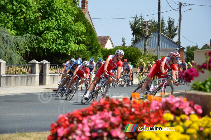 Het peloton