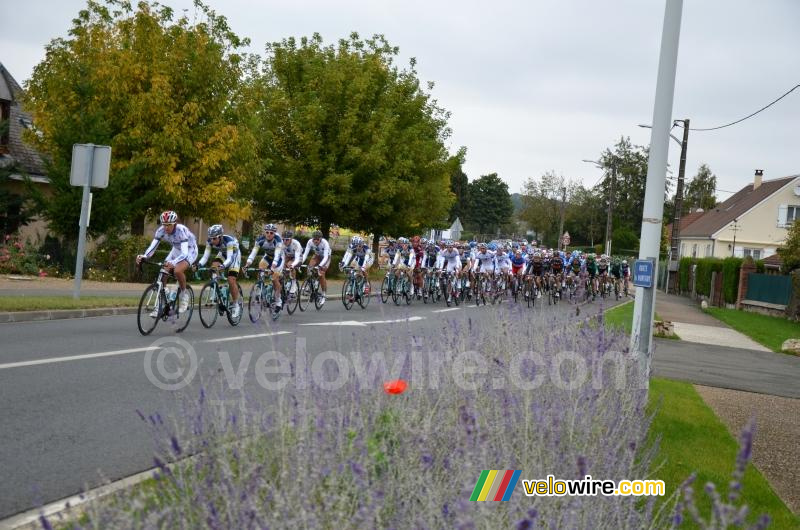 The peloton (2)