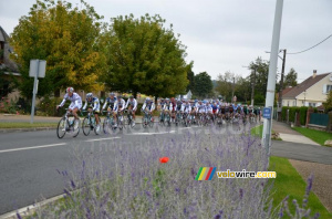 Le peloton (2) (397x)