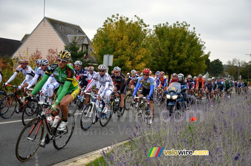 Het peloton (4)