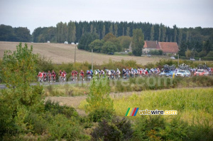 Le peloton vu de loin (385x)