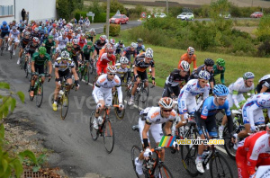 Le peloton (5) (452x)