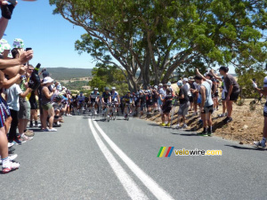 The peloton on Checkers Hill (494x)