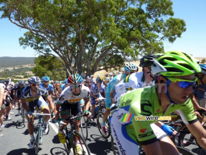 The peloton on Checkers Hill (2) (450x)