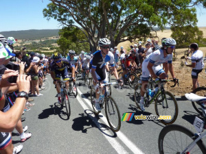 Le peloton sur Checkers Hill (3) (745x)