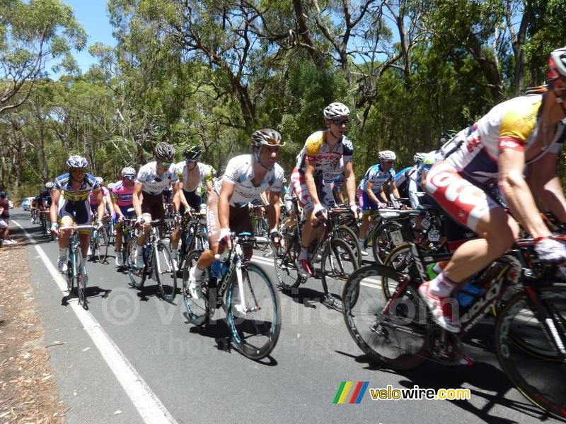 Davide Appollonio (AG2R La Mondiale) in the peloton