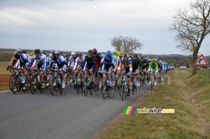 The peloton just after Blet (2) (539x)
