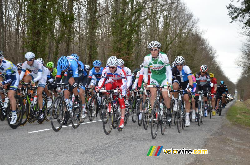 Le peloton dans la forêt autour de Cérilly