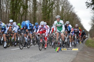 The peloton in the forest around Cérilly (441x)