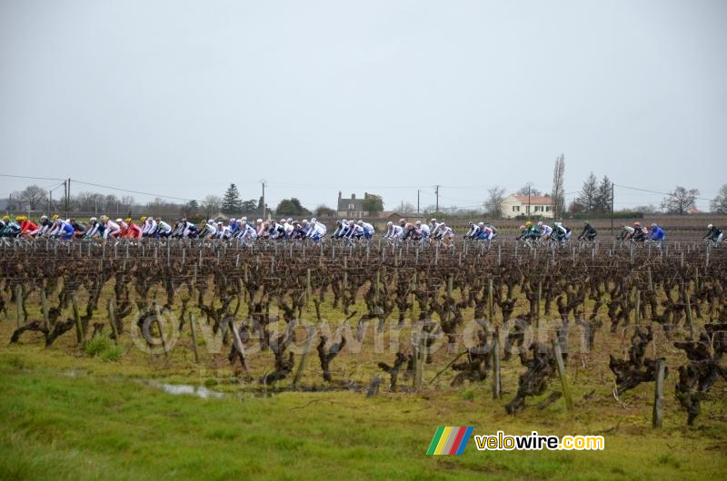 Het peloton komt eraan