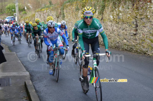 Le peloton dans la Côte de Bohardy (378x)