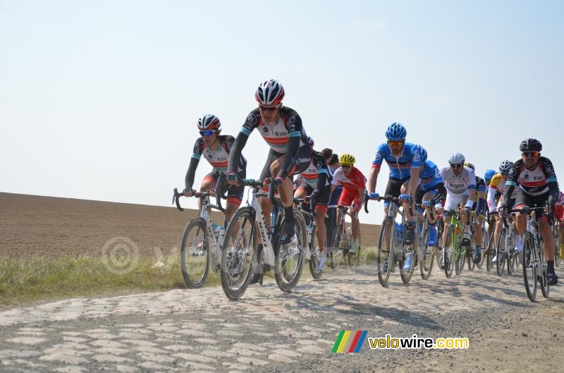 The peloton on the cobbles between Verchain and Quérenaing