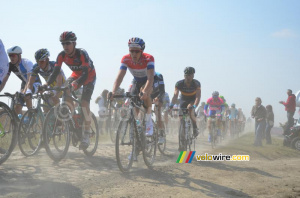 Niki Terpstra (Omega Pharma-QuickStep) in the dust (767x)