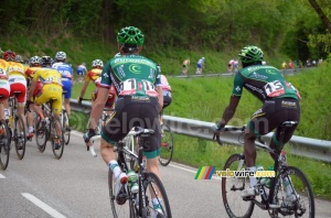 Thomas Voeckler (Europcar) at the back of the peloton (334x)