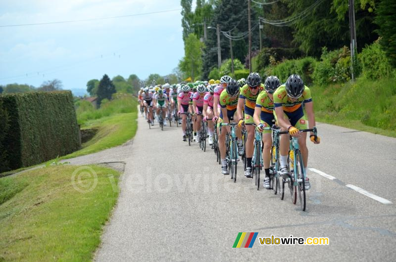 The peloton led by Sava & Charvieu-Chavagneux (7)