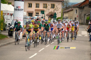 Le peloton sur la Côte de Maubec (203x)