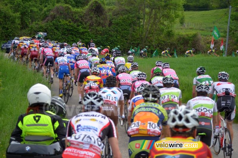 Het kleurrijke peloton