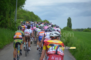 Le peloton très coloré (2) (274x)
