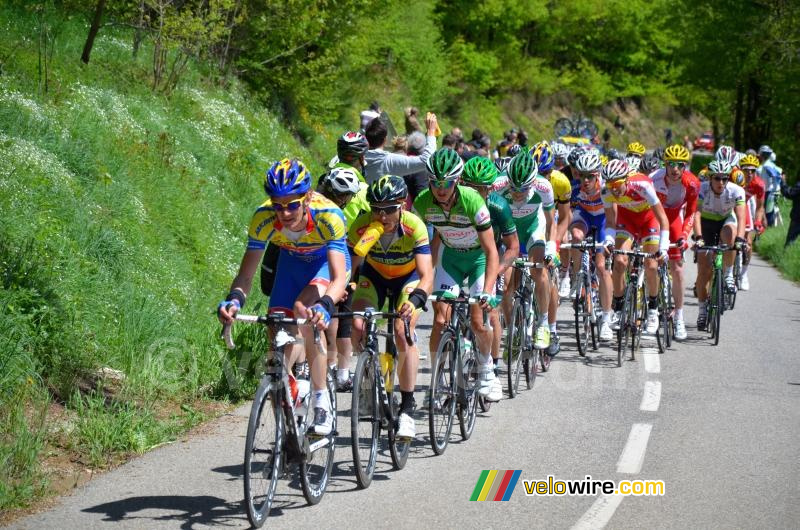 The peloton on the Col de Pavezin